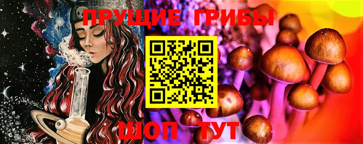 Тимашёвск  Псилоцибиновые грибы мицелий  Галлюциногенные грибы Psilocybine cubensis  Вход с VPN 