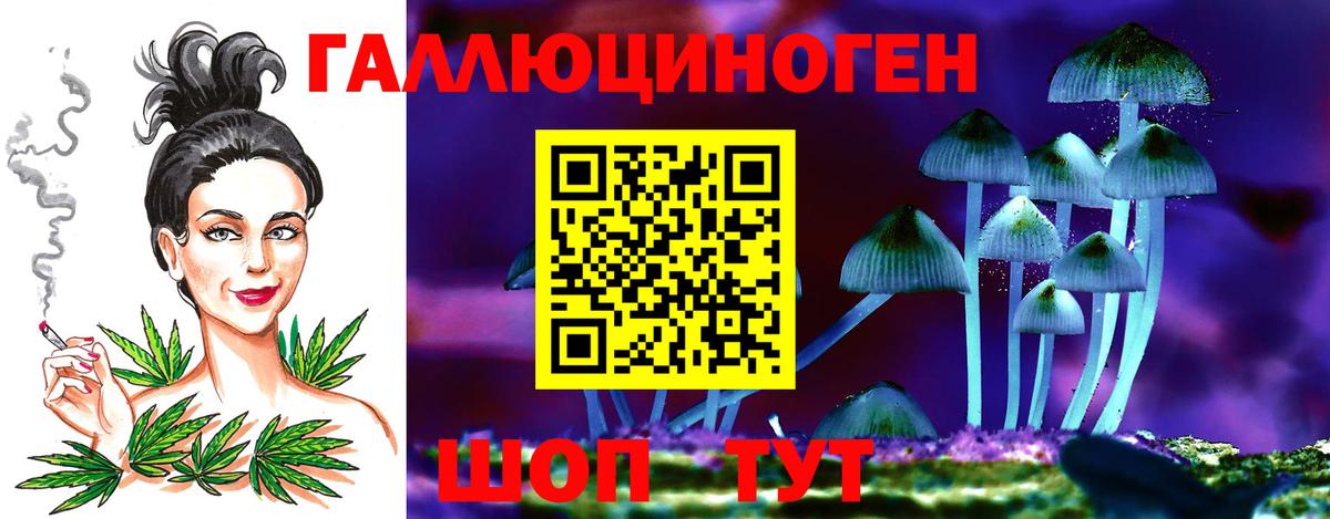 Псилоцибиновые грибы мицелий Тимашёвск